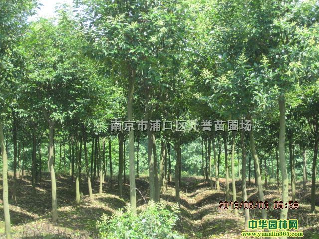 ߗUŮؑ~ŮؑŮؑ䡢10ִ~Ůؑ