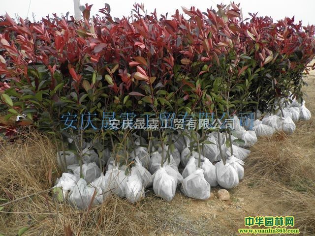 t~ʯ骻h硢Ut~ʯ骡t~ʯ