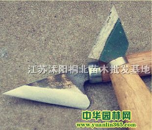 ޽ӹߡ޽ӵ޽ӊA޽ӷNġҘ