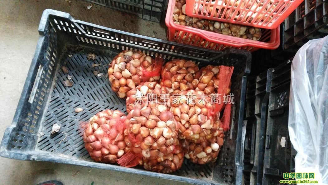 ܷN㡢ʯ⡢ٺˮɵ