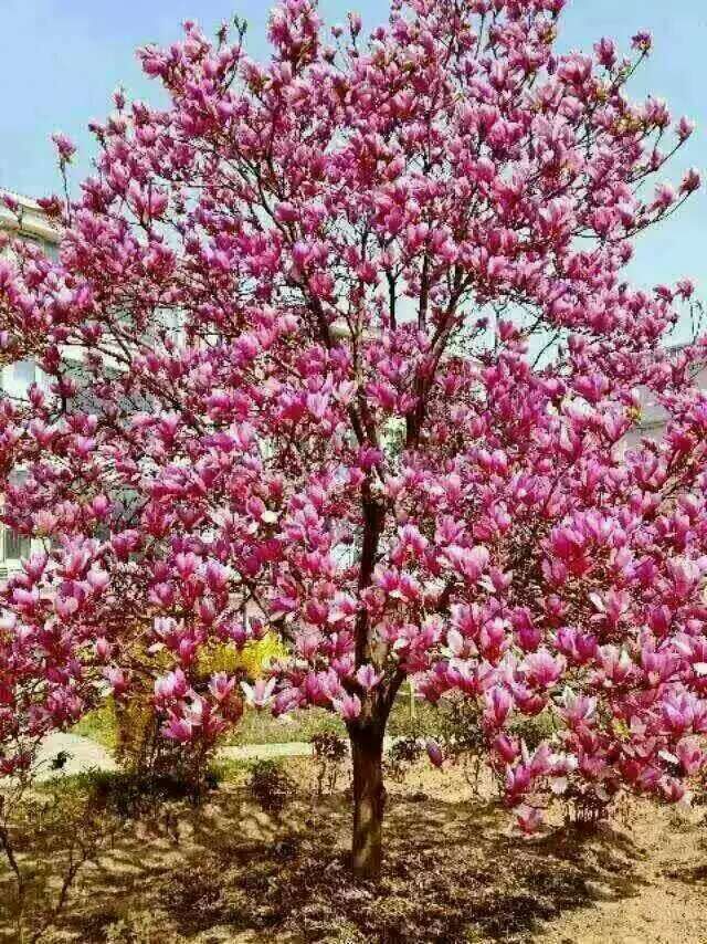 mm١SǗ衢~䡢ġŮؑ