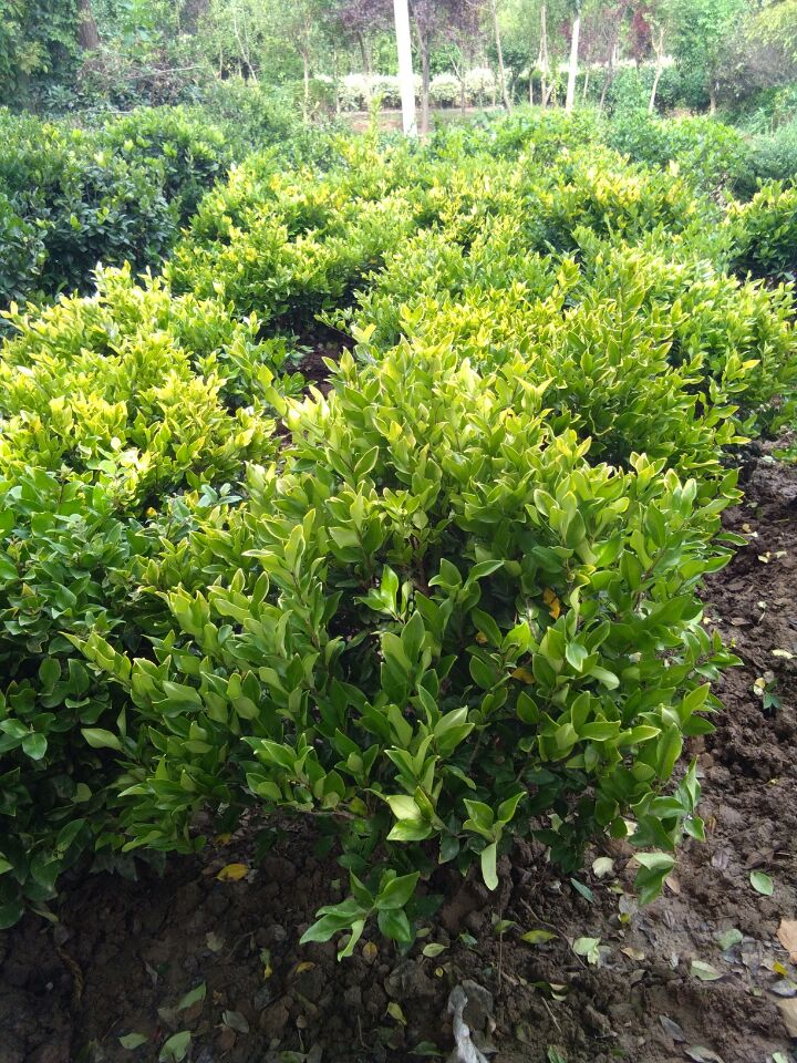 ɭŮؑ򡢽~Ůؑl(wi)ì򡢼t~С