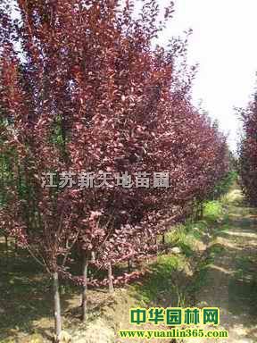 䡢~ѻm̰ͩ5000ƷN