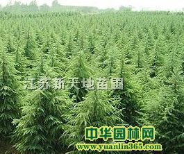 ءѩɡ~ޱBNmľȡѻt÷