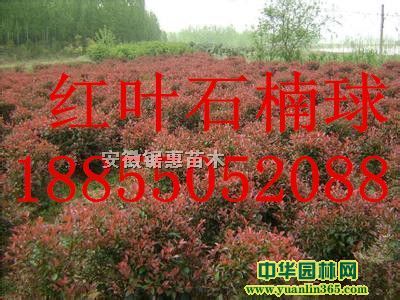 t~ʯߗUt~ʯ骰ռt~ʯ骼t~ʯ