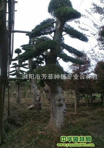 ܘ䡢ܘ͘С~Ůؑ͘䡢_h͘䡢Ӣ͹Ř