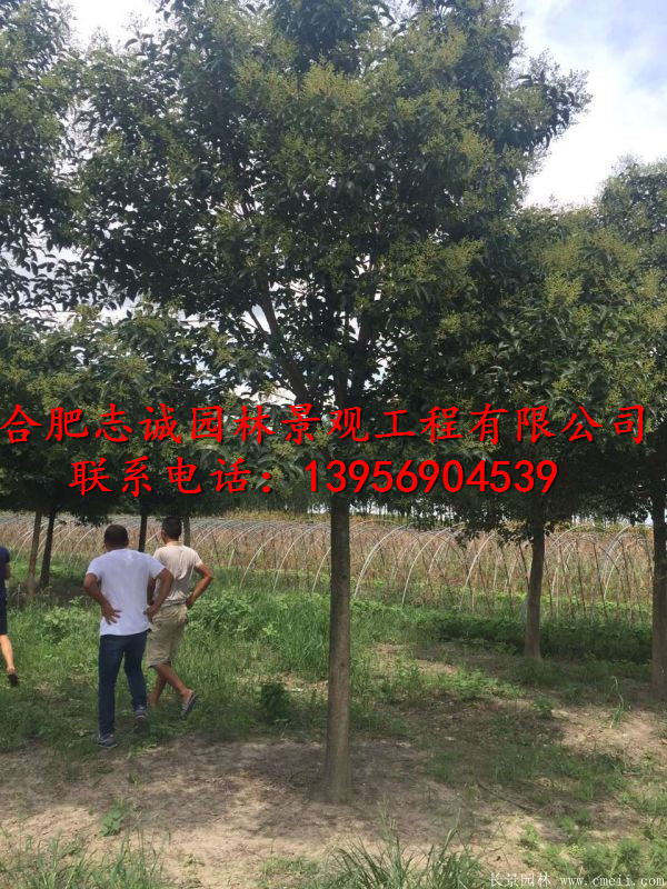 t~~Ůؑޱꡢʯ骡䡢Vm