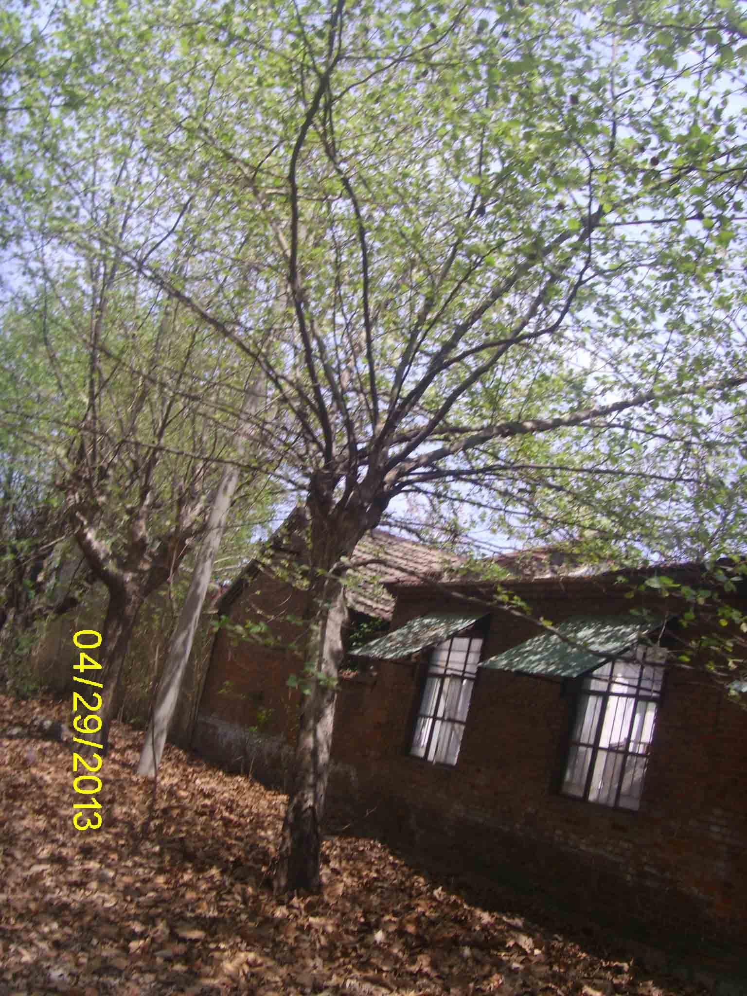 ͩѩѻצ~