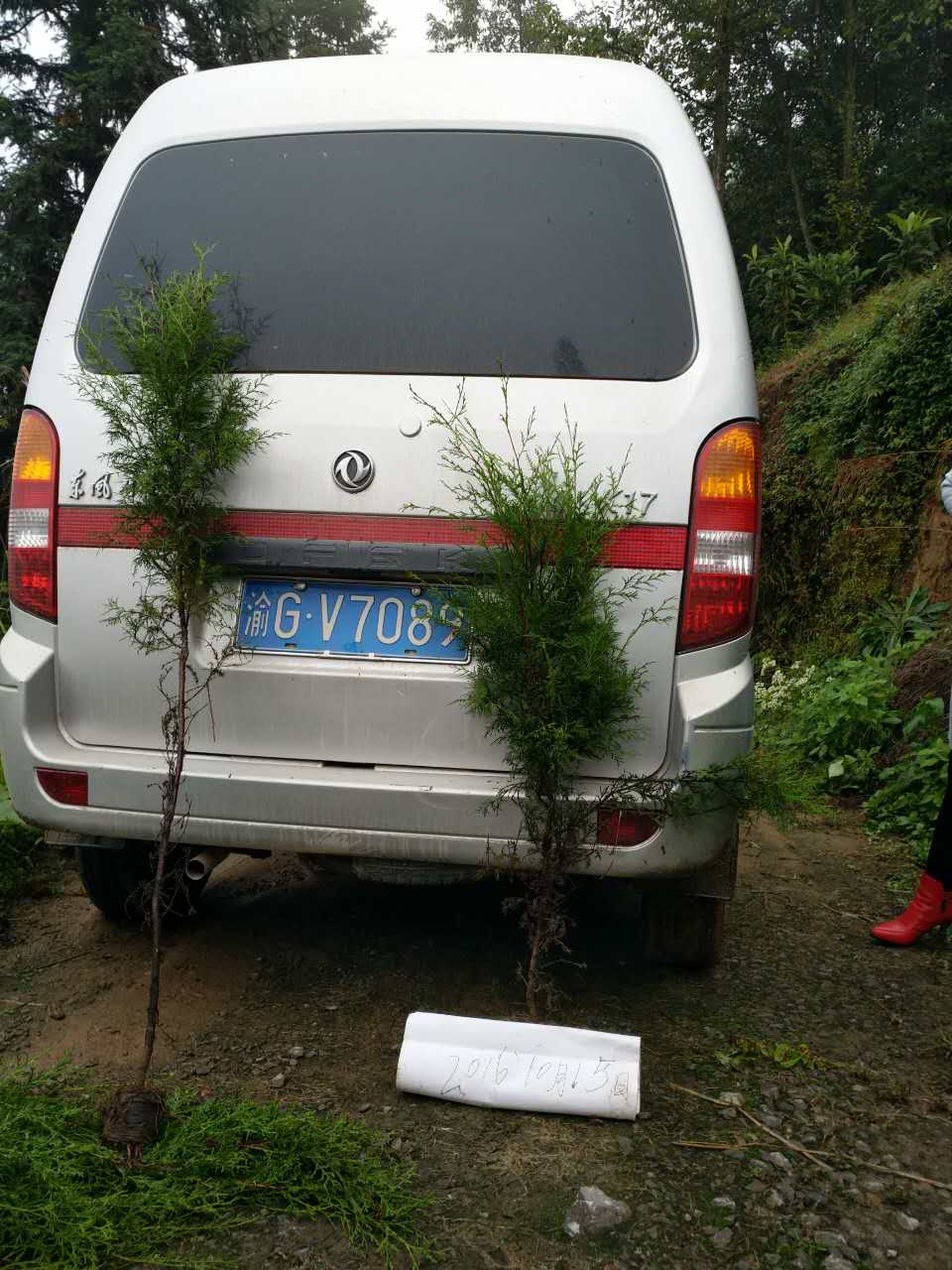 ̓rؘ̎䡢ؘ硢ء硢Ȱءu