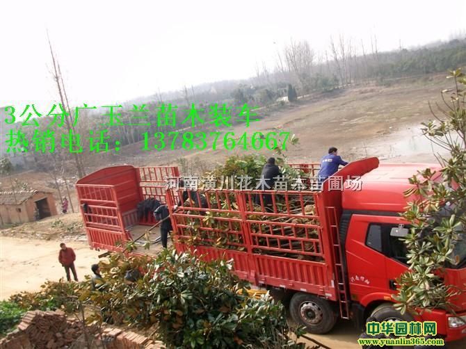 ~ŮؑVmؙɽЦ