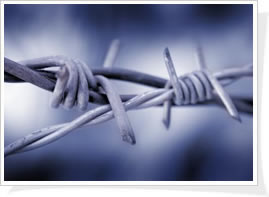 ̽z ;K ; ;FzW(wng)