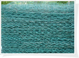 ʯ\W(wng)ǾW(wng)QW(wng)eW(wng)FzW(wng)