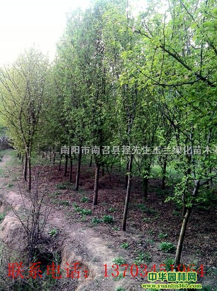 120ľϘ䡢ľ硢ľϷN