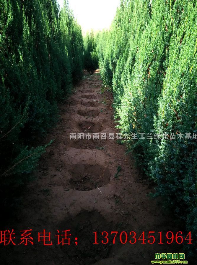 ƤɡɡѩɡAɽɡϙuءuu