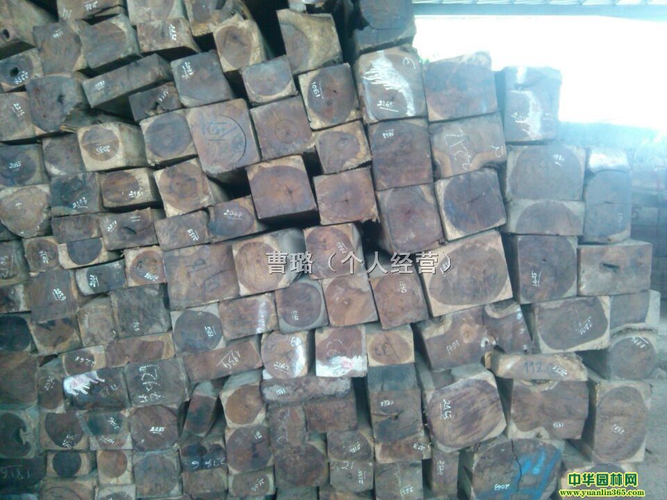 ϓt֦С~̴ɽ̴R΢t֦ī΢