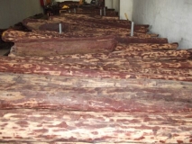 ̴֦ľ桢ľuFľ