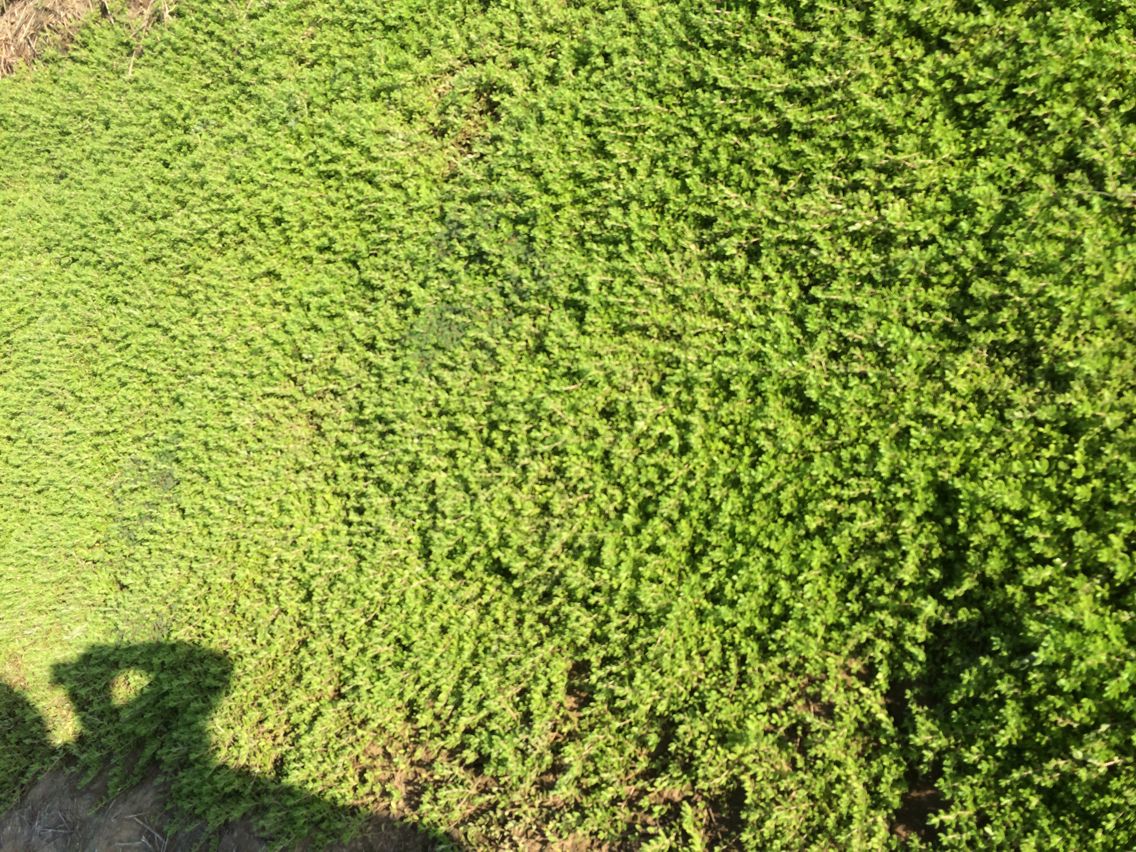 ƺGɶPoɶӵġPoԮ(dng)ƺ