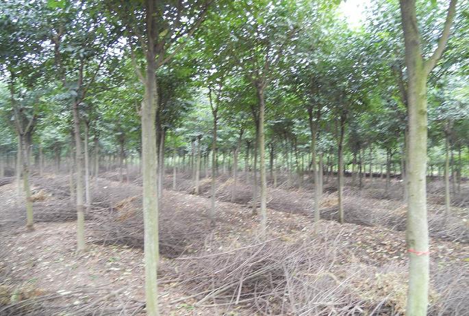 8ִ~Ůؑ9ִ~Ůؑ10ִ~Ůؑ