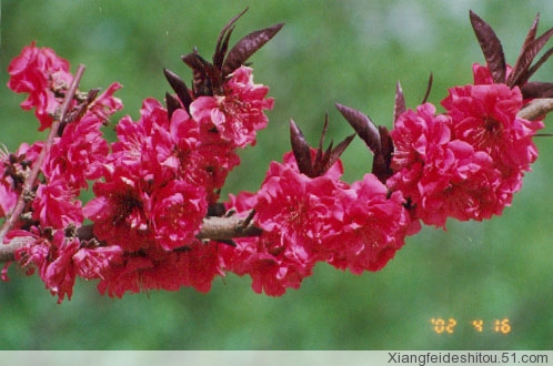 t÷G÷÷~÷÷yѿȻľ