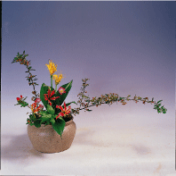 «人文花道»系列叢書