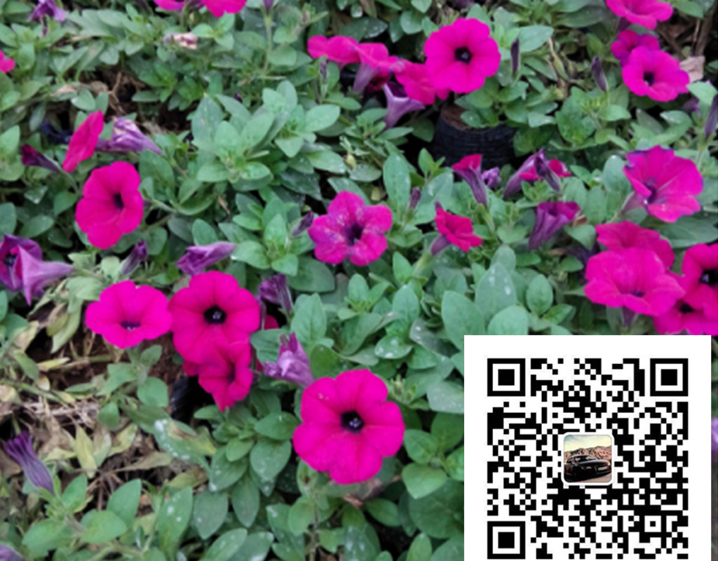 ţһtȸݡuڻȹ(ji)[ݻ