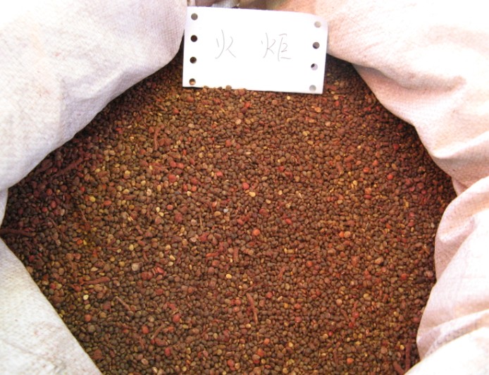 紫薇種子,火炬種子,石楠種子,五角楓種子,麥冬草種子等