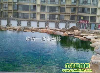 ɽͤLȡˮ鿡ǡR˹