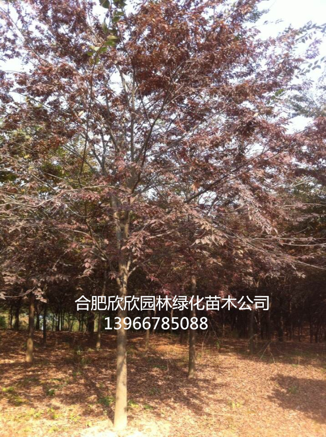 Θ1-20֡tС硢12֙Θ