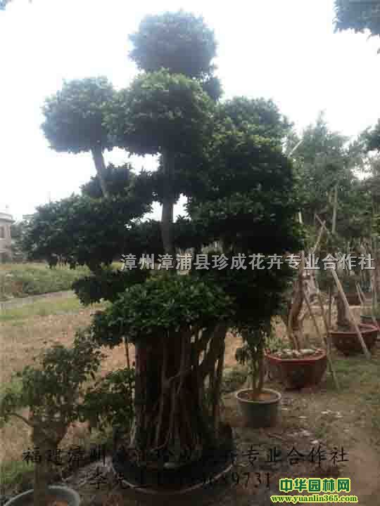 ُƷĴС~ż޽͘^辰-ҴС^С~Ř䘶^