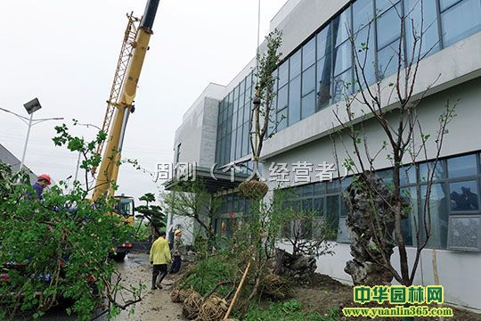 S^(q)GW(xu)УG̡S^(q)G픾GO(sh)Ӌʩ