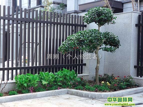 eͥԺG̡˽҄e@O(sh)Ӌ@־^GNֲʩ