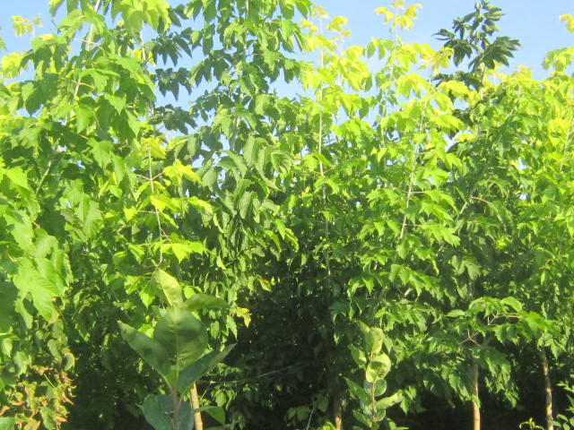 ~~~t߽ӽ~ܡǗ