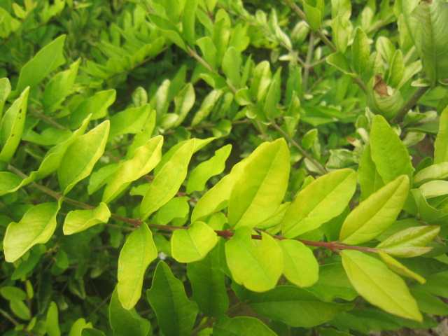 ~ˮDС~SS÷yľ϶㡢|BN