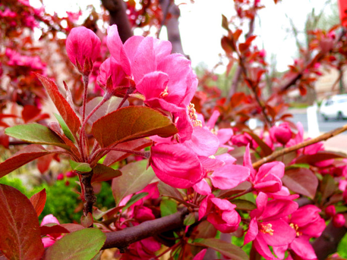 tʯĵ؏3ָ߶2׹ڷ1.2Ј