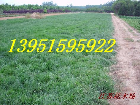 RļࡢZqĽ󡢼ɷfȶNƺ