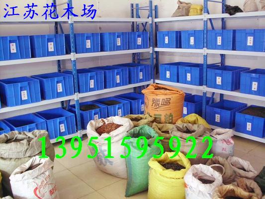 tNӡɽѡҰɽҷNӡҰѡΙѷNӡ̰ء(c)طN