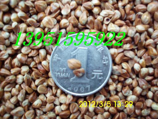 ءء̰ء(c)ɷNС