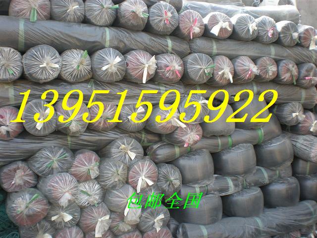 GɫW(wng){(ln)ɫW(wng)(yng)W(wng)ڼW(wng)