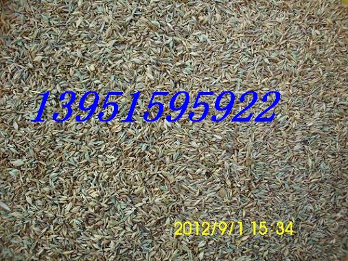 Zqéݡ̡ɷfļƺNӵȷN