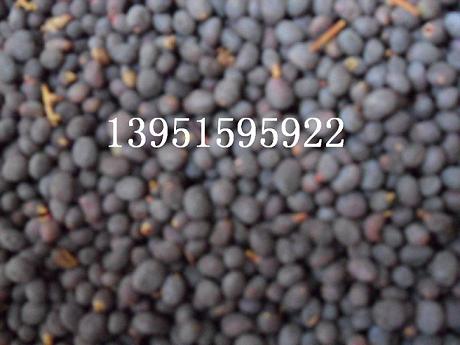 ~ŮؑС~ŮؑߗU~ŮؑN