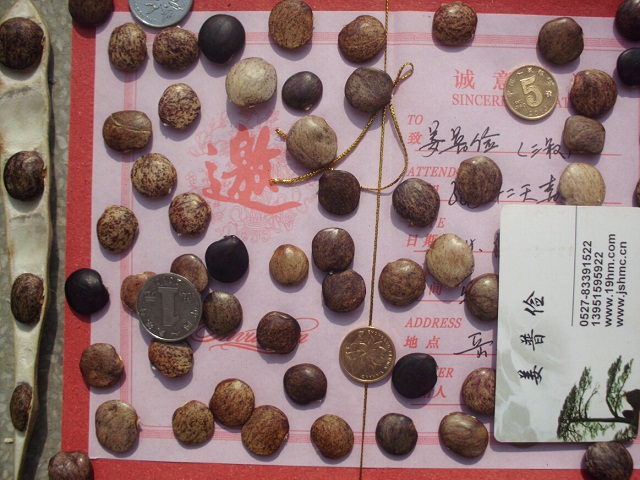 ɽNӡٻNӡޱNӡGNӡϞ÷N