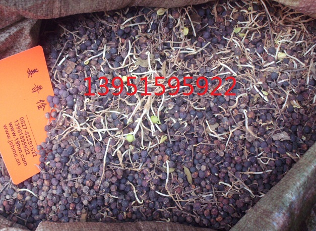 ˮϞ~Ůؑ~ŮؑС~ŮؑNӼС