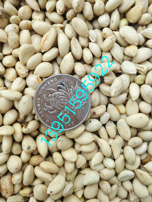 |ӡךٷNӼСfȫ