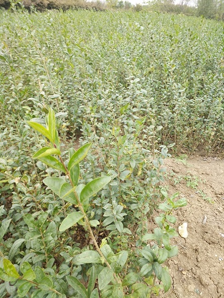 40ָˮϞС~Ůؑ~Ůؑ~ˮDȾGh