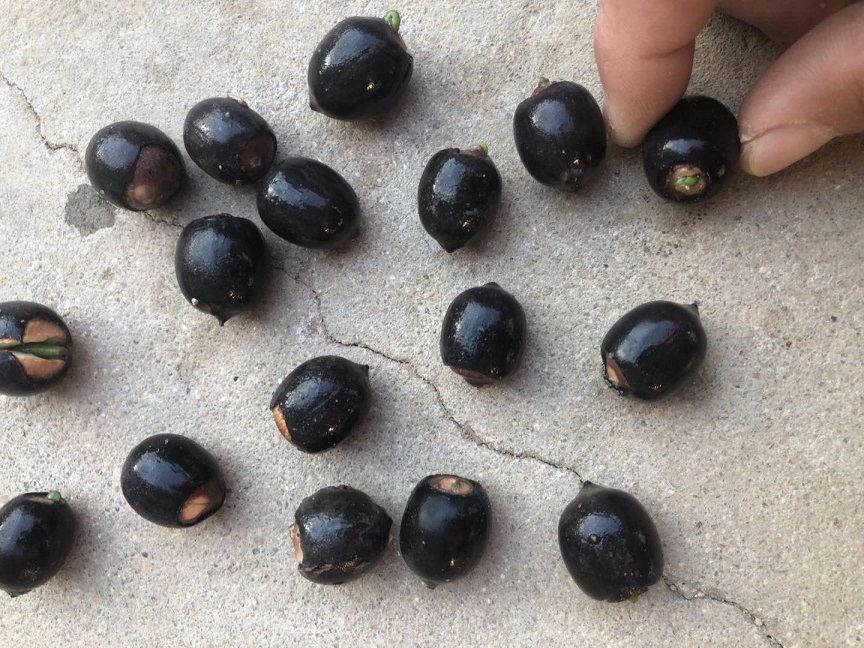 _(ki)ɏNӡɏNӡ˯ɏN