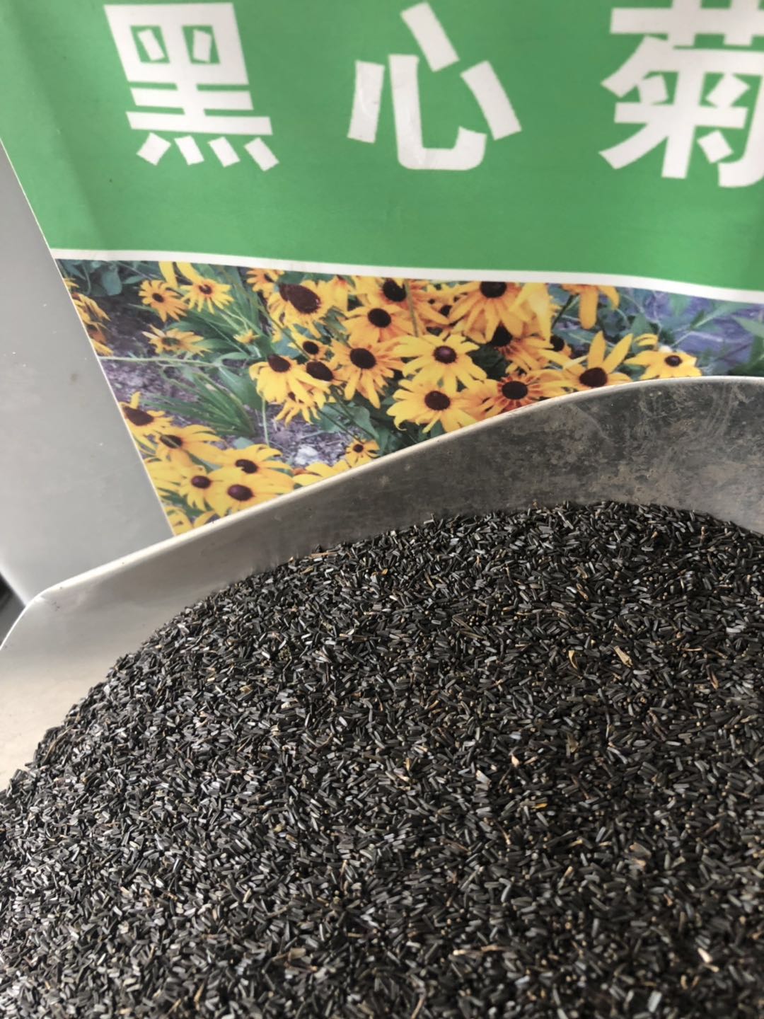 lѿʺõĺľա˹աë~շNӿfȫ