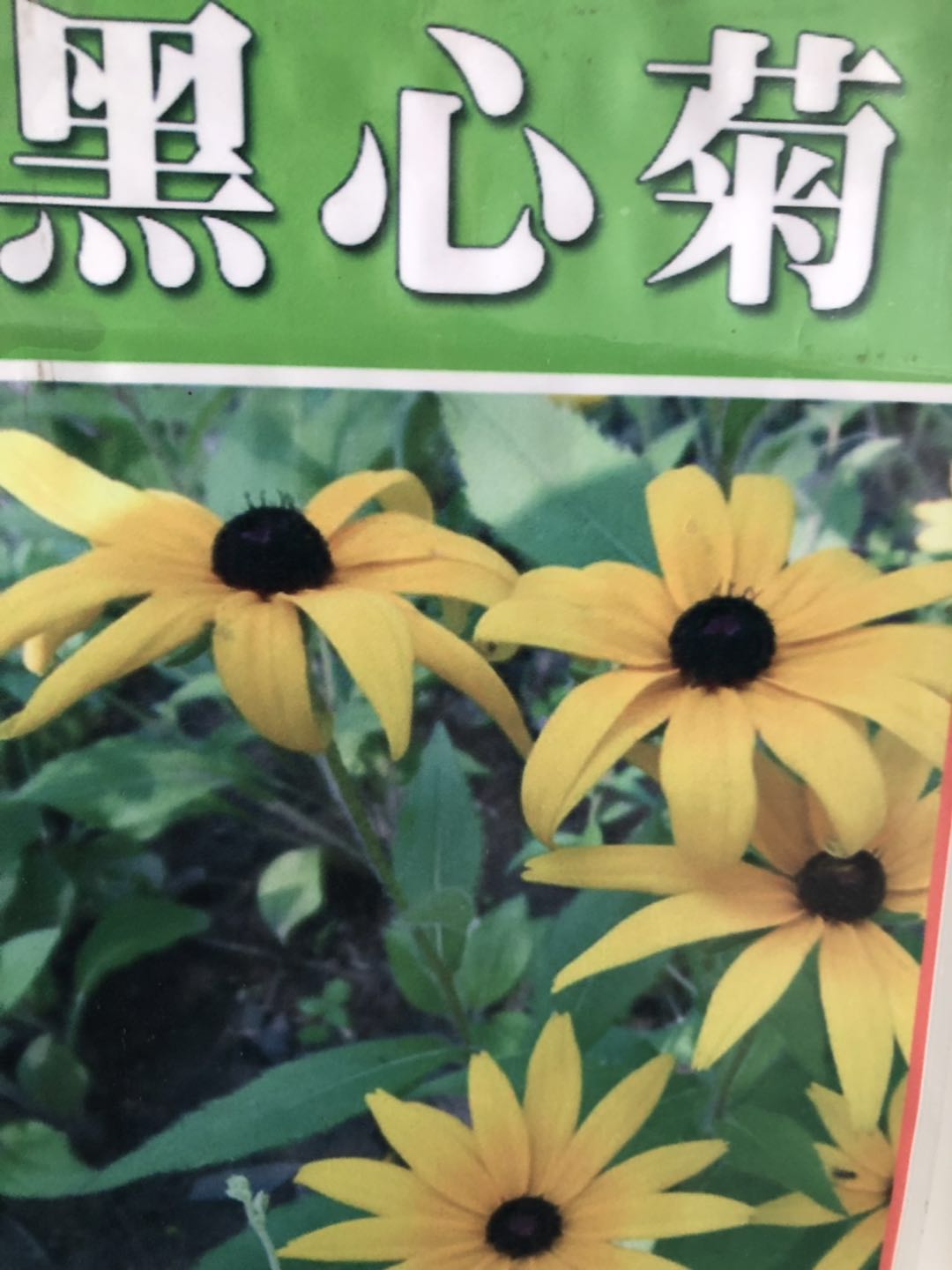 ݺľաuա߱޾աxաչյȷN