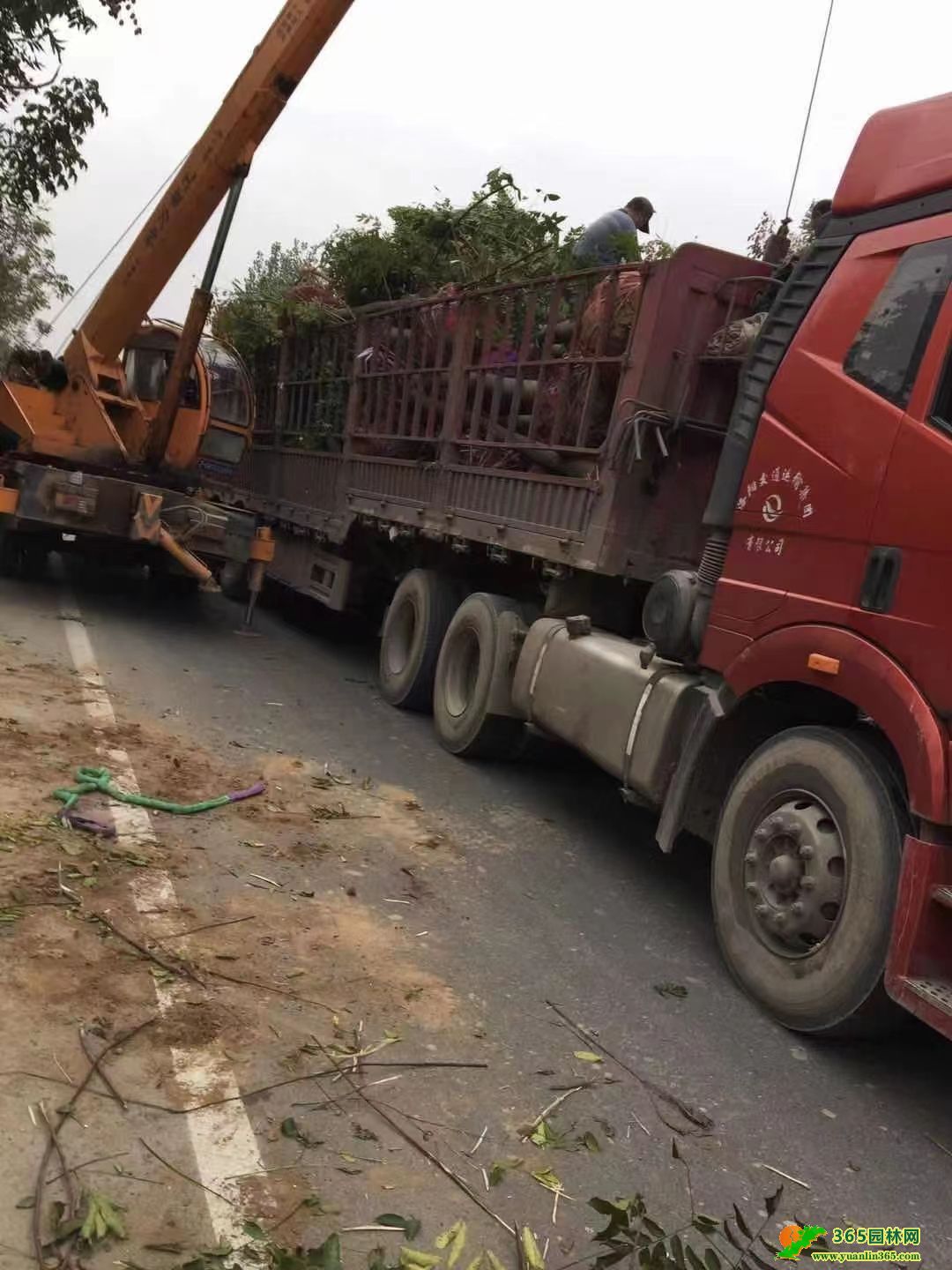 䡢~ŮؑϙuͩϚgľȡ~ľ