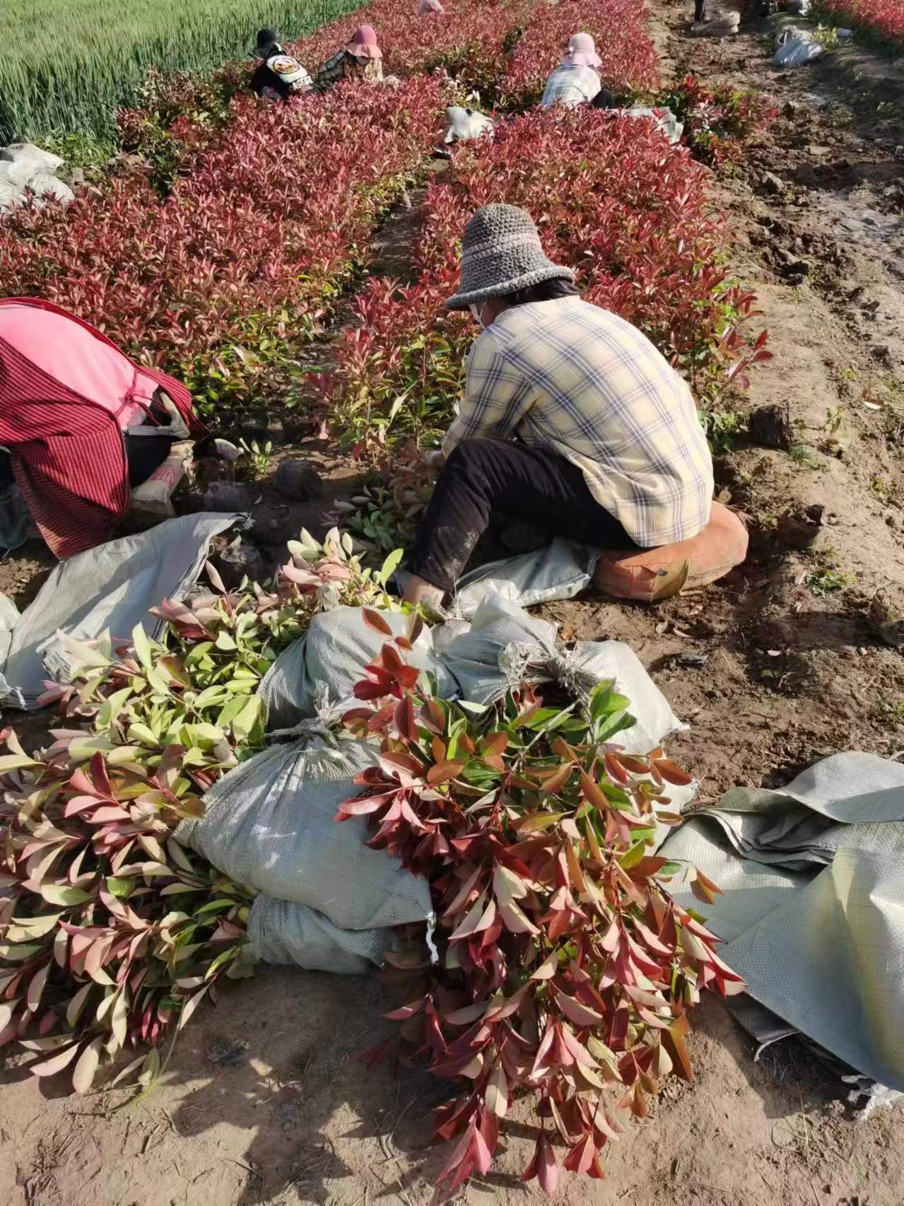 t~ʯ骡SС~Ůؑ\ġ[mtݡľ