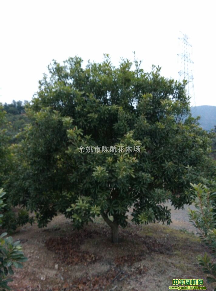 10֗÷÷硢硢硢䡢޽